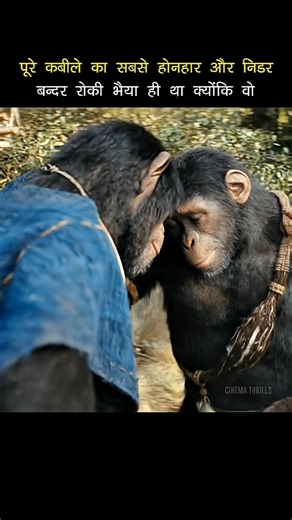 New Monkey Movie Explanation part-2 #shorts
