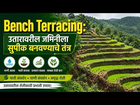 डोंगर उतारा वरील पायऱ्यांची शेती पद्धत (Bench Terracing) म्हणजे काय? शेतीसाठी महत्त्वाचे फायदे