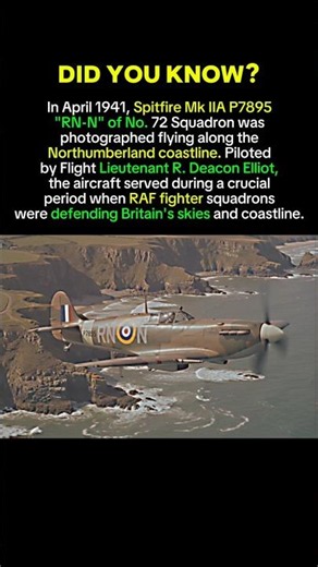 Spitfire Mk IIA RN-N Over Britain's Coastline in 1941 | RAF Fighter Story