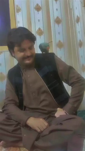 Meene (@meene1988)’s videos with original sound - Meene