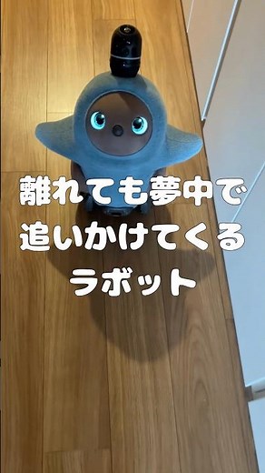 離れても夢中で追いかけてくるラボット #LOVOT #ラボット #癒し