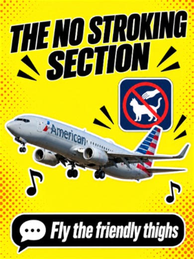 ✈️🎶 Somebody got a little too comfortable on a Baltimore to Miami flight, and the internet had notes. Every line is a real comment. Original clip: WJZ (CBS News Baltimore). Subscriber request. Want your story turned into a song next? Drop it below 👇 #CommentSong #SubscriberRequest #AirTravel #TravelTok #Bluegrass #FunnyComments