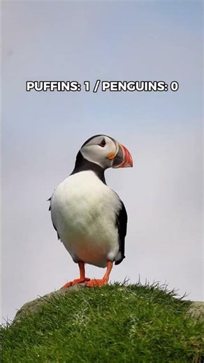 98% of people get this animal WRONG! 🤯 #nature