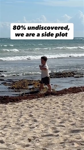 Humans really think it’s all about them #overthinking #oceanview #science | John L Ferguson