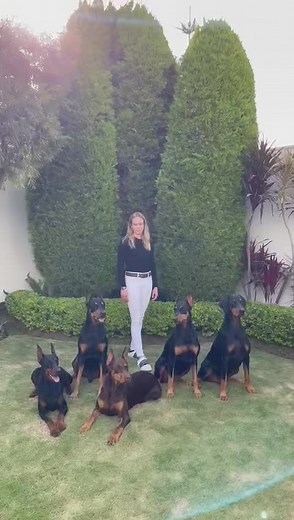 Woman Poses with Six Doberman Dogs in Garden Setting