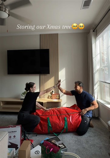 Effective Ways to Store Your Holiday Christmas Tree