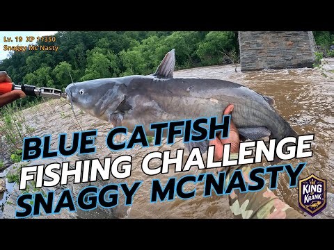 Thrilling Blue Catfish Fishing Challenge in D.C.'s Potomac River!