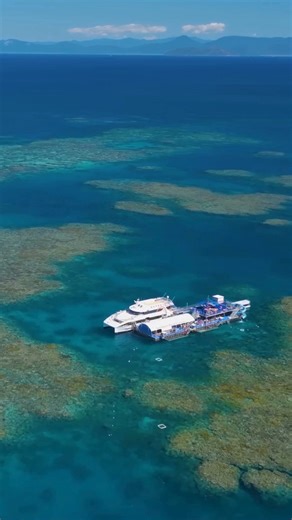 It’s your day, your pace — snorkel, slide, relax, explore and pick the extras that suit you at Moore Reef. | Sunlover Reef Cruises