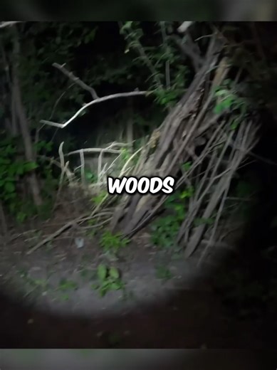 Uncovering Terrifying Paranormal Mysteries