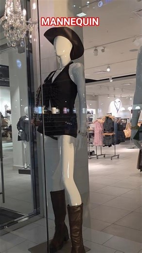 LIKE THE WINDOW IN AMSTERDAM