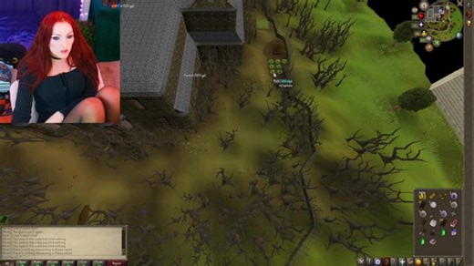 🪄OSRS Quest Beginner 🔮 Need Your Help!