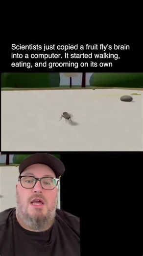 This is groundbreaking stuff, they copied its brain 🧠 | fly brain computer