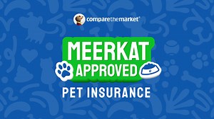 Compare the Market's meerkats are back in new pet insurance campaign
