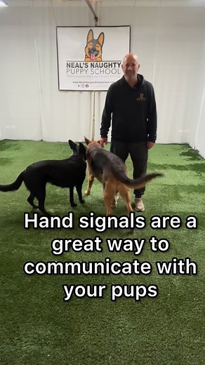 3 comments | Hand signals are a great way to communicate with your...