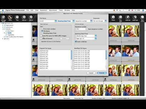 Canon Digital Photo Professional Tutorial - Batch rename tool (6/19)