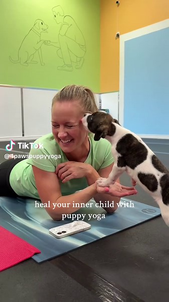 4PawsPuppyYoga on TikTok