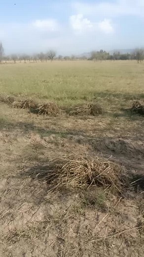 Exploring Serene Open Fields and Countryside Landscapes