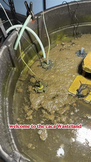 This is my “clean slate” protocol. Quarantine all fish under medication, throw away all plants, and nuke the tank and hard items with high concentration hydrogen peroxide overnight. All harmful pathogens should definitely be non-existent by morning. #fish #goldfish #aquarium #ranchu