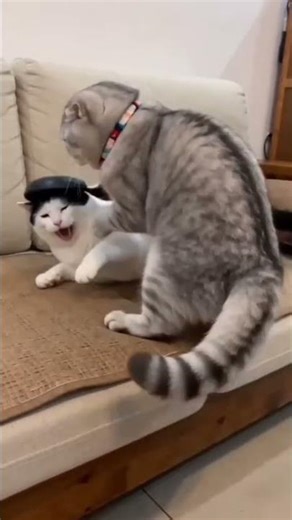 Revolutionize Your Cooking: Quick & Easy Asian Recipes for Busy Lives