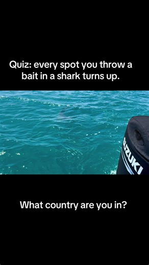 Fishing Adventures Down Under: Catch Big Sharks and More