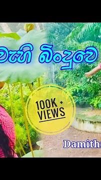 Wahi Binduwe වැහි බිංදුවේ | Meena Prasadini | Dance Cover | Damithri Subasinghe #damithrisubasinghe
