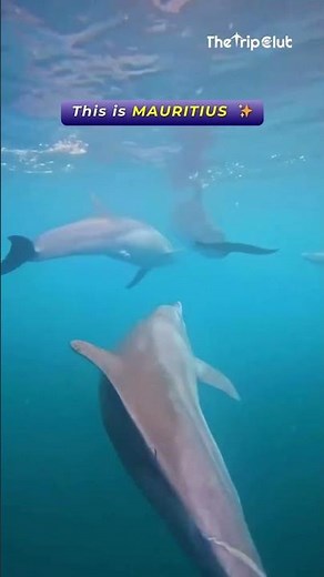 Mauritius Vacation Packages 2025 | Luxury Resorts, Honeymoon Deals & Travel Guide 🌴✨