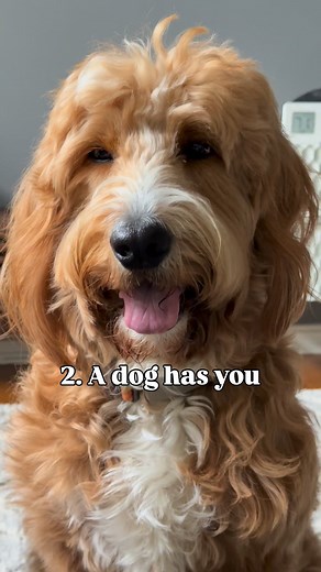 They’re just precious angels 🥹 | Mayaallthefeels