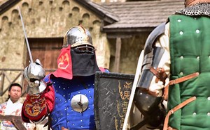 botn2019剑盾个人中猫险胜澳洲选手