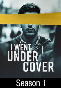 I Went Undercover: Mercenary Rules