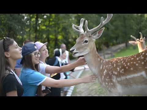 Unit 2 Lesson 2 Read-Aloud: Classifying Animals Based on Characteristics