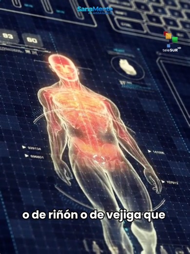 ¿Qué síntomas alertan de una probable leucemia? Un diagnóstico temprano ayudará a la recuperación del paciente. Infórmate y comparte. Puedes ver mi entrevista al Dr. Carlos Martínez Murillo, 👉 Ya disponible en mi canal de YT 🎥🔔 #Leucemia #Cáncer #Salud #Enfermedad #Sangre @telesurtv_oficial
