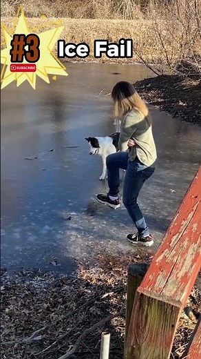 Top 5 Funniest Dog Fails Ever