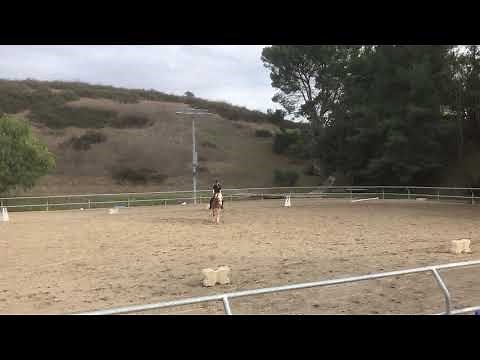 How to Ride USDF Introductory Level Test A