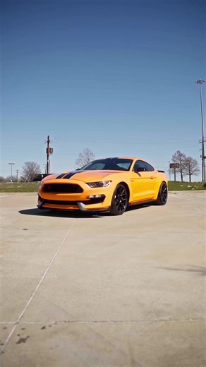 A roar that shakes the pavement 2018 Ford Mustang Shelby GT350 28,984 Miles Our Price: $51,299 - Orange Fury Metallic Tri-Coat ($495) - Over-The-Top- Racing Stripe ($475) - Black Stripe with White Accent - Gas Guzzler Tax ($1,300) - 50 State Emissions - Convenience Package ($3,000) - Dual-Zone Electric Auto Temperature Control - AM/FM Single CD with SiriusXM - Voice-Act Touchscreen Navigation System - Climate Control Seat #2018fordmustang #shelbygt350 #mustanggt350 #fordmustang #shelby #american
