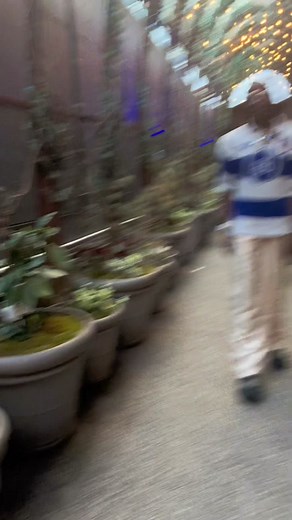 Top 3 Free Date Spots in NYC You Must Visit