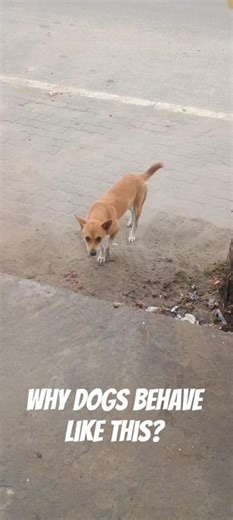 Adopt local Think Global