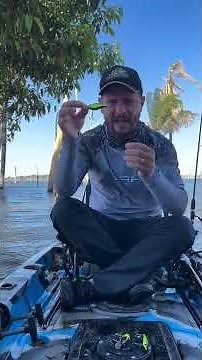 Pare de perder peixe! As 3 MELHORES iscas para ter na caixa hoje. 🎣 | xandantas_