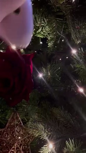 Phantom of the Opera Christmas Decorations at Her Majesty's Theatre