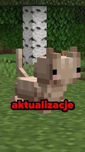 The cutest Minecraft CATS MOD! 😍