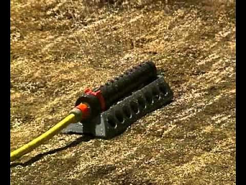 Rasen anlegen – so geht’s richtig | BAUHAUS