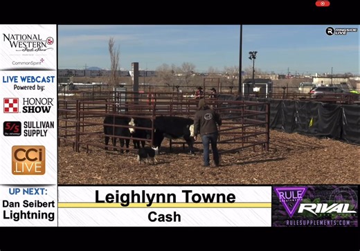 🐶🔥 What a run by Coach Leighlynn Towne and her Border Collie, Cash! Coach Towne and Cash just turned in an outstanding performance, earning a perfect score of 210 points in 3 minutes, 17 seconds—a powerful example of precision, partnership, and experience on the trial field. The student competitors will be starting soon, and momentum is high as they step into the arena next. 👏 👉 Find the LIVE-stream linked in previous post or in the comments below 🎧…and an informative podcast with Coach Tow