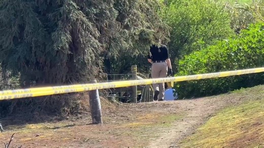 Suspect with a stick shot dead by deputy outside Porterville, Tulare County Sheriff’s Office says