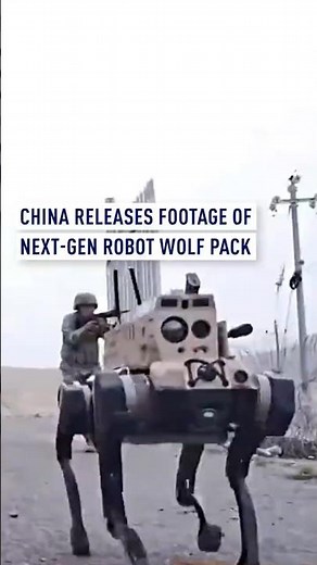 China releases footage of next-gen robot wolf pack