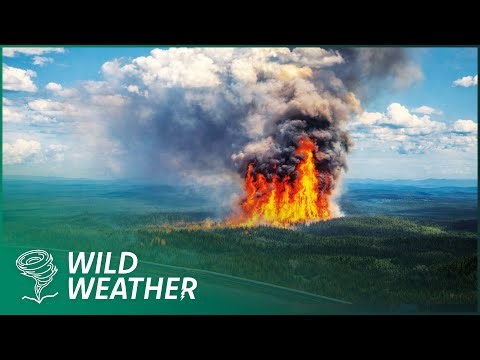Chasing 50-Foot Crown Fires in the Yukon