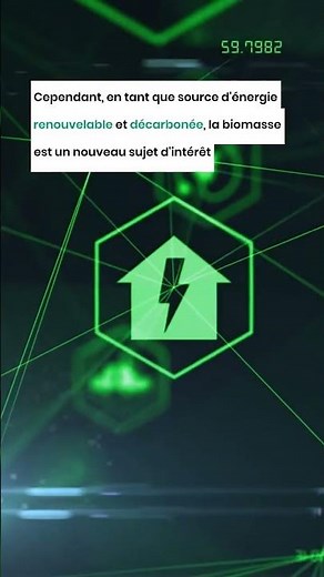 Biomasse : comment l'utiliser pour produire de l’énergie ?