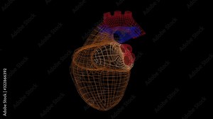 Heart scan animation. The interface for detecting diseases and problems with the cardiovascular system.