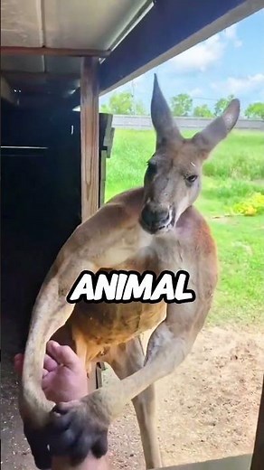 A Camera On A Snake… This Is What It Saw 😳🐍