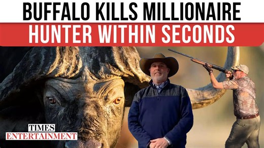 “£7.5K Hunt Turns Fatal”: Trophy Hunter Asher Watkins Gored to Death in Shocking Buffalo Attack