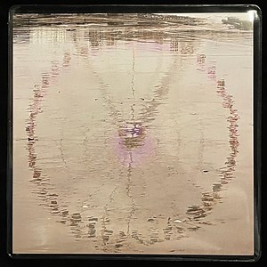 Oneida with Mike Watt - Tusko