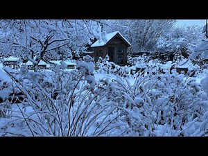 A Year in a Cut Flower Garden / Northlawn Flower Farm and Gardens